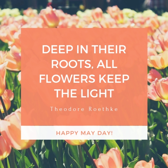 Sale *No item that has a listing stating :Sales don't apply 😉 - Picture 6 of 16